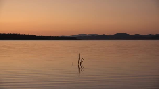 Cormorant Bay Lake Wivenhoe Queensland Apart Wivenhoe Dam — Stock Video