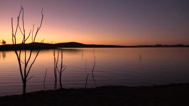 Cormorant Bay Lake Wivenhoe Queensland Apart Wivenhoe Dam — Stock Video