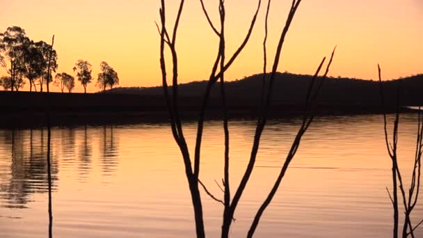 クイーンズランド州ウィヴェンホー湖のコーモラント湾 ウィヴェンホーダムを除く — ストック動画