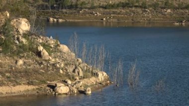 Kargalar Yuvasında Azim Gölü, Bölgesel Toowoomba, Queensland gündüz.