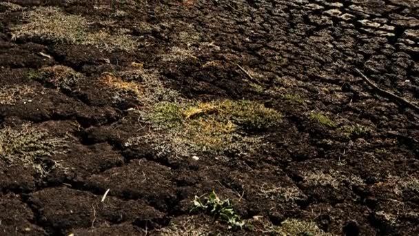 Very Dry Lake Apex Gatton Lockyer Valley Region Queensland Rain — Stock Video