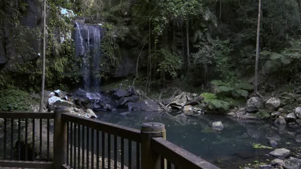 Curtis Falls Vattenfall Beläget Joalah Delen Tamborine National Park Som — Stockvideo