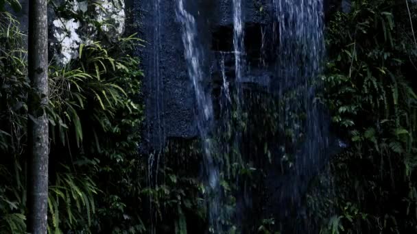 Cachoeira Curtis Falls Localizada Seção Joalah Parque Nacional Tamborine Que — Vídeo de Stock