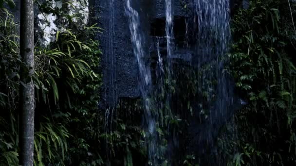 Curtis Falls Vattenfall Beläget Joalah Delen Tamborine National Park Som — Stockvideo