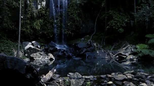 Curtisské Vodopády Ležící Joalahské Části Národního Parku Tamborine Která Mimo — Stock video