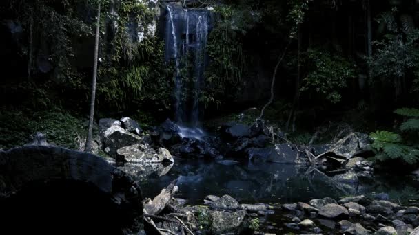 Cachoeira Curtis Falls Localizada Seção Joalah Parque Nacional Tamborine Que — Vídeo de Stock