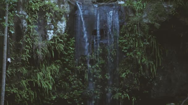 クイーンズランド州ゴールドコースト ヒンターランドの一部であるタンボリーン国立公園のジョアラーセクションに位置するカーティス滝の滝 — ストック動画