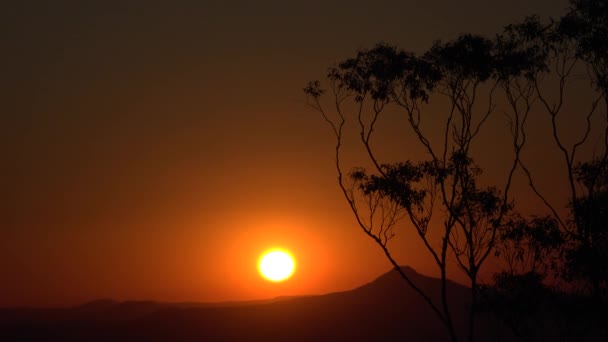 Vue Coucher Soleil Depuis Section Knoll Mont Tamborine Dans Queensland — Video