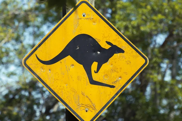 Предупреждающий знак кенгуру — стоковое фото