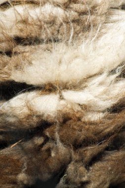 Doğaya yakın koyun tüylü yünü