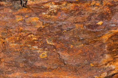 Gerçek bir makro kaya dokusunun detaylı yakın çekimi