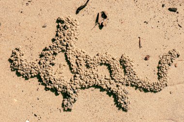 Gerçek kumsal kumu detaylı makro yakın çekim dokusu veya arka plan