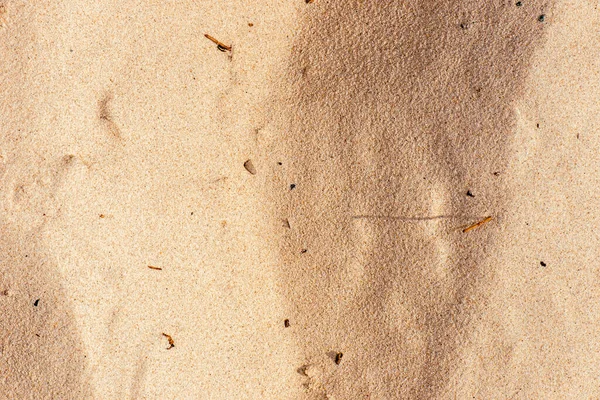 Real Beach Sand Detailed Macro Closeup Texture Background — Stock Photo, Image