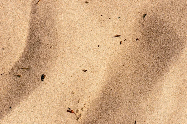 Real Beach Sand Detailed Macro Closeup Texture Background — Stock Photo, Image