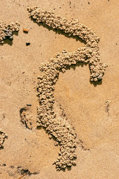 Spiaggia Reale Sabbia Dettagliata Macro Primo Piano Texture Sfondo — Foto Stock
