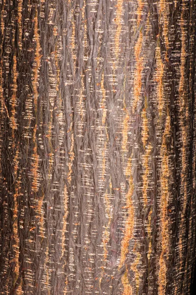 木材の詳細なクローズアップマクロ写真 — ストック写真