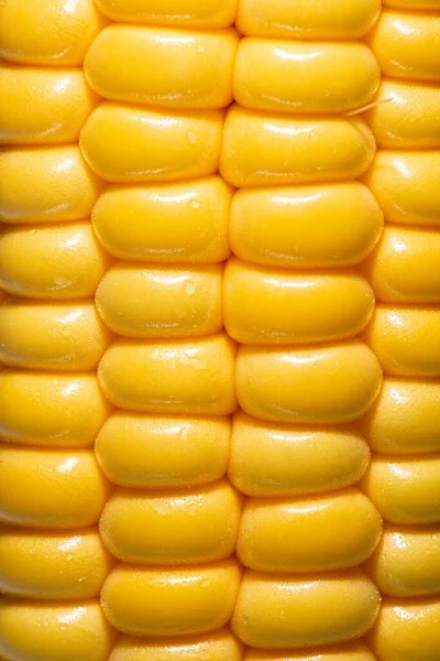 Detailed Closeup Photo Corn — Stock Photo, Image