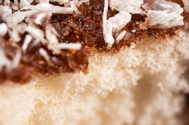Yumuşak ve kabarık bir lamington çikolatalı ve ince parçalanmış hindistan cevizli Ultra makro fotoğraf.
