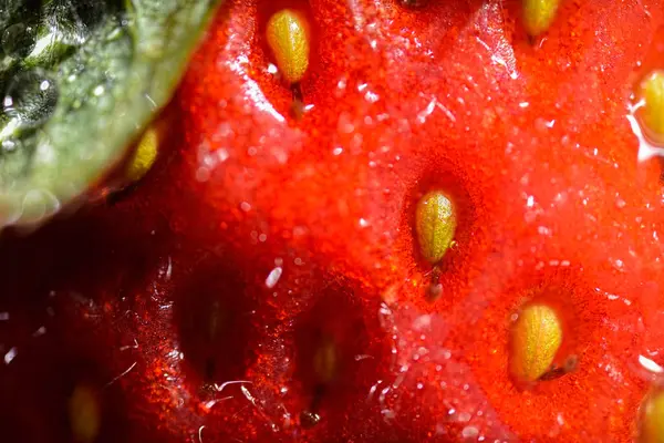 Ultra Macro Foto Van Een Verse Australische Aardbei — Stockfoto