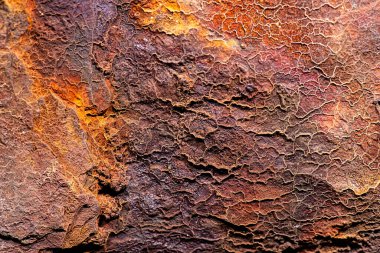 Queensland, Woody Point 'teki HMQS Gayundah gemi enkazındaki pasın detaylı yakın plan fotoğrafı.