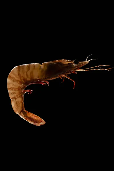 Australian Tiger Prawn Докладне Тло Макроморських Продуктів — стокове фото