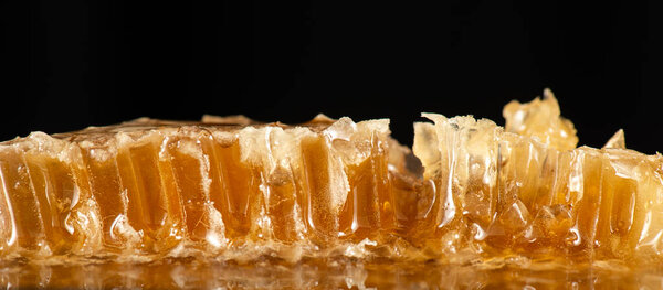 Подробное макрофото пчелиного воска и меда крупным планом. Продукты питания.