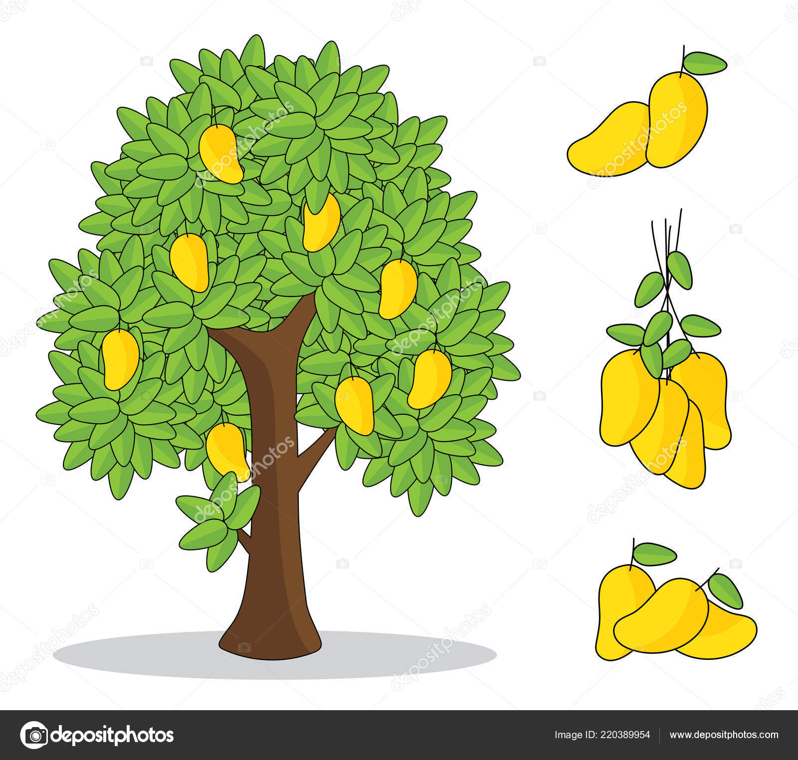 mango tree with fruits and green leaves Stock Vector | Adobe Stock-saigonsouth.com.vn