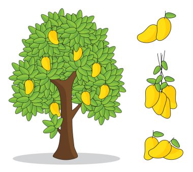 sarı mango ağacı beyaz arka plan ile üzerinde. izole doodle el çizimi.