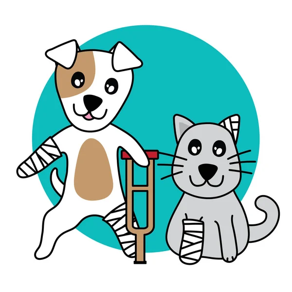 Vektör karakter köpek ve kedi zarar, beyaz arka plan üzerinde kırık bacak.