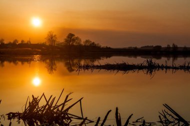 Sakin su ile bir ağaçlar bir yansımasıdır. Alacakaranlık Gölü.