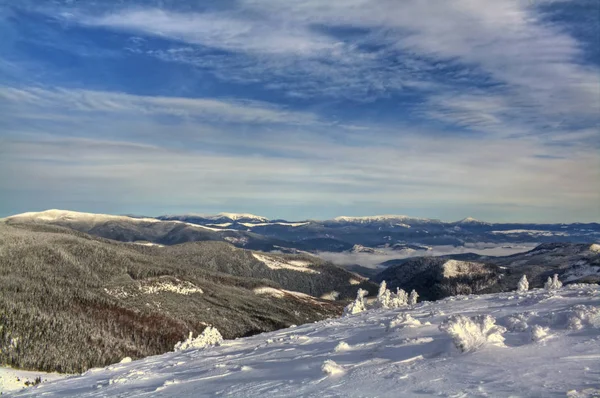 Hermoso Paisaje Invierno Cárpatos Montañas Ucrania — Foto de Stock