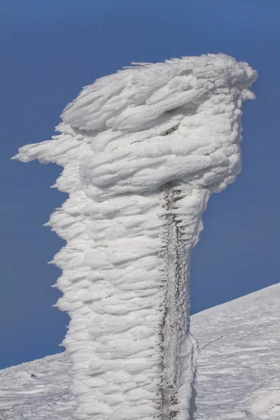Fantastic Creation Snow — Stock Photo, Image