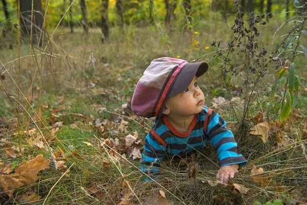 Roztomilý Chlapeček Velkým Uzávěrem Sedí Podzimní Park — Stock fotografie