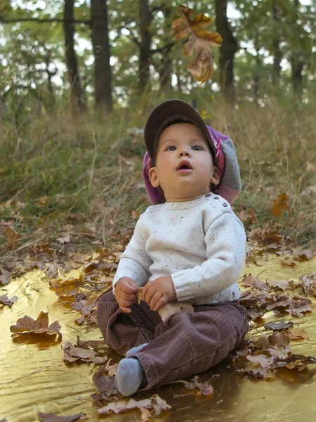 Roztomilý Chlapeček Velkým Uzávěrem Sedí Podzimní Park — Stock fotografie