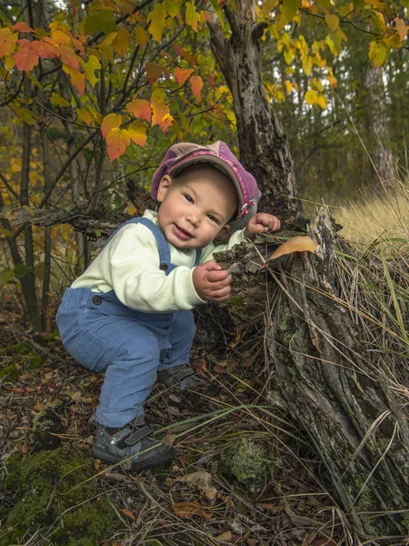 Usměvavý Chlapeček Velkým Uzávěrem Podzimní Park — Stock fotografie