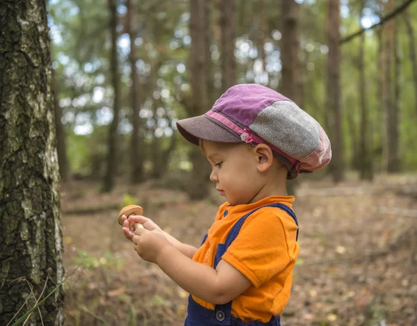 Jongetje Met Hoed Herfst Bos Met Paddestoel Zijn Handen — Stockfoto