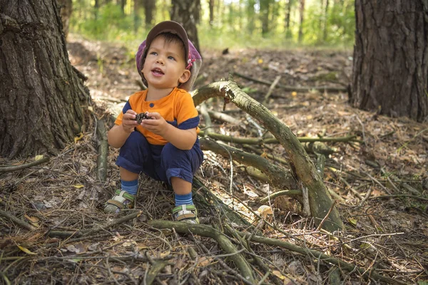 Roztomilý Usměvavý Chlapec Klobouk Podzimním Lese Sedí Poblíž Houby — Stock fotografie