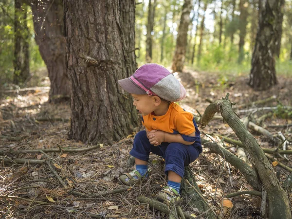 Schattige Lachende Jongen Hoed Dragen Herfst Bos Zit Buurt Van — Stockfoto