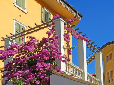 Pembe beautuful çiçek tarafından çerçeveli bir Balkonlu güzel bir sarı ev