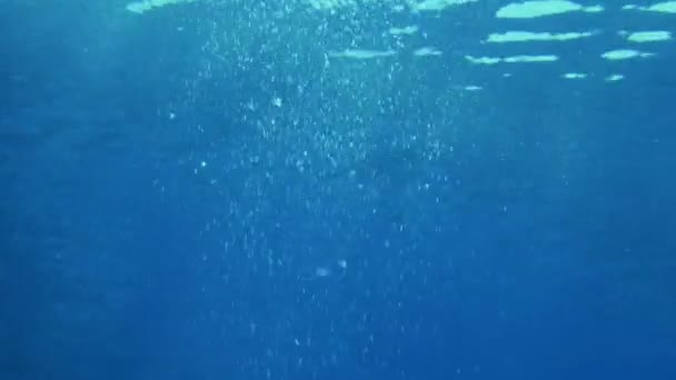 Pemandangan Laut Bawah Laut Dengan Sinar Cahaya Alami — Stok Video