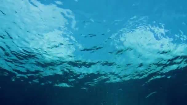 Vista Submarina Con Rayos Luz Natural Burbujas Aire Agua Brilla — Vídeos de Stock