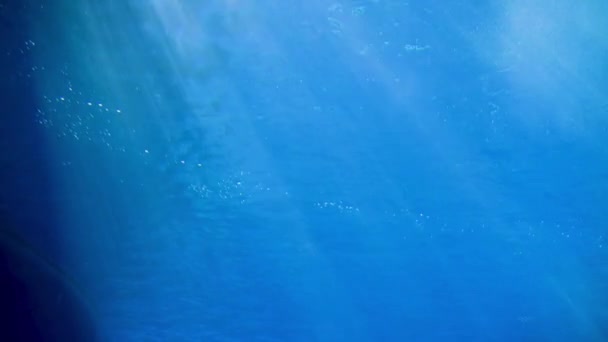 Underwater Sea Scene View Natural Light Rays — Stock Video