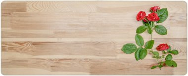 Yaz arka plan gül ahşap tahta üzerinde