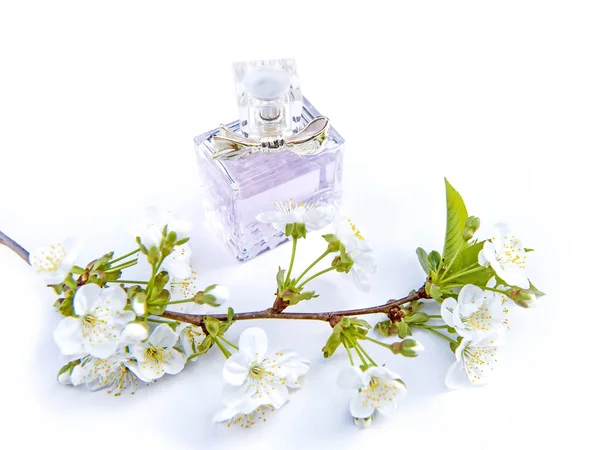 Parfym Glas Flaska Och Blossom Gren Cherry — Stockfoto