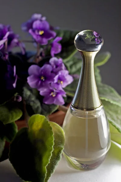 Botella Vidrio Perfume Flores Púrpuras —  Fotos de Stock