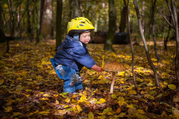 Schattig Lachend Jongetje Met Veiligheidshelm Het Najaarspark — Stockfoto