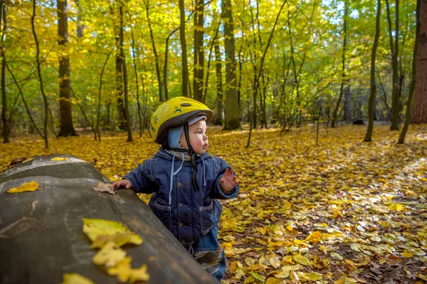 Roztomilý Usměvavý Chlapeček Bezpečnostní Helmou Podzimním Parku — Stock fotografie
