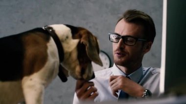 İşyerinde köpekle oynamayı gözlük yakışıklı işadamı