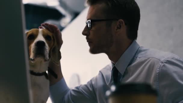 Homem Negócios Bonito Óculos Acariciando Cão Usando Computador Desktop Local — Vídeo de Stock