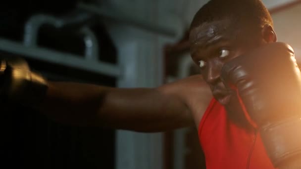 Afrikanisch Amerikanisches Boxtraining Fitnessstudio Zeitlupe — Stockvideo